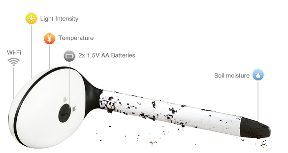 Koubachi Wi-Fi Plant Sensor