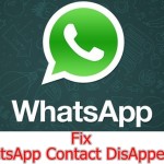 WhatsApp Contacts