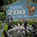 Indore Zoo Safari