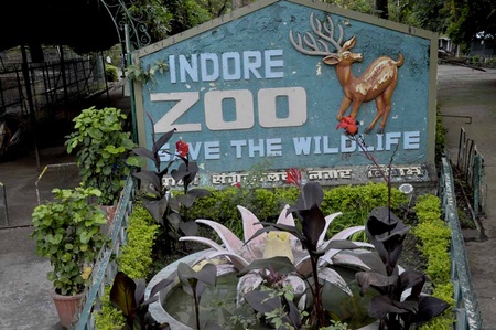 Indore Zoo Safari
