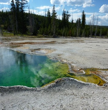 Yellowstone National Park