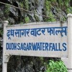 Enjoy Nature at Dudhsagar Waterfalls Goa