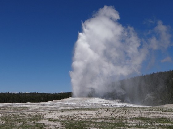 Old Faithful Yellowstone National Park