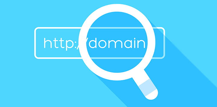 Search Domain Names Online