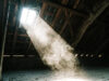 How to Improve Your Home’s Indoor Air Quality